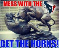 Mess with the Bull.jpg