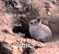 Rabbit Hole.png