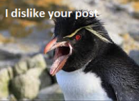 penguin.png