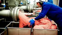 SausageMaking.jpg SausageMaking.jpg