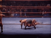 3E051975-635B-412A-8279-CB605ACEB682.gif