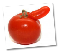 1698432968159.png