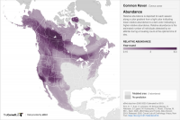 comrav-abundance-map-2020-en.png