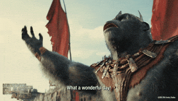 1726426005391.gif