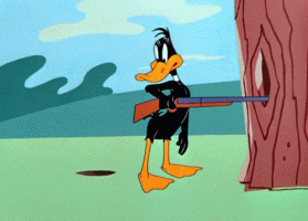 giphy (15).gif