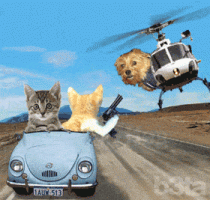 giphy (17).gif