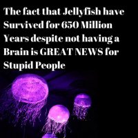 1733612890965.jpeg