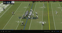 Rankin100.gif