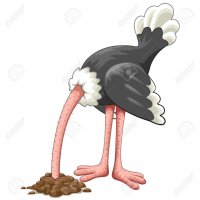 Ostrich.jpg