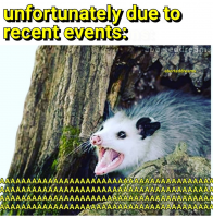 1584389841359.png