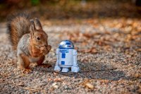 SquirrelR2D2.jpg