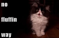 no-fluffin-way.jpg