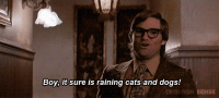 93260BF6-3BB6-4795-B9BF-958786E5652B.gif