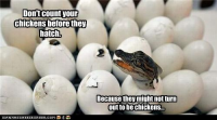 1647064689977.png