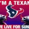 Texans_bull