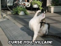 curse-you-villain-cat-cats-kitten-kitty-pic-picture-funny-lolcat-cute-fun-lovely-photo-images.jpg