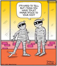 mummies-egyptian_mummies-monsters-toilet_paper-toilet_paper_mummies-myths-legends-CX903796_low...jpg