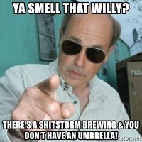 ya-smell-that-willy-theres-a-shitstorm-brewing-you-dont-have-an-umbrella.jpg