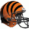 BengalManiac66
