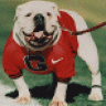 UGA