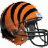 BengalManiac66