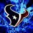 FLTexan