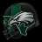 DallasTX_EaglesFan